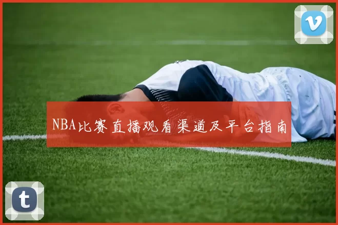 NBA比赛直播观看渠道及平台指南