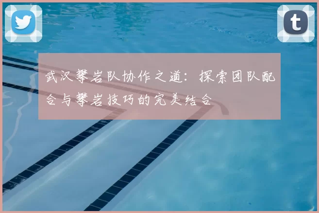 武汉攀岩队协作之道：探索团队配合与攀岩技巧的完美结合