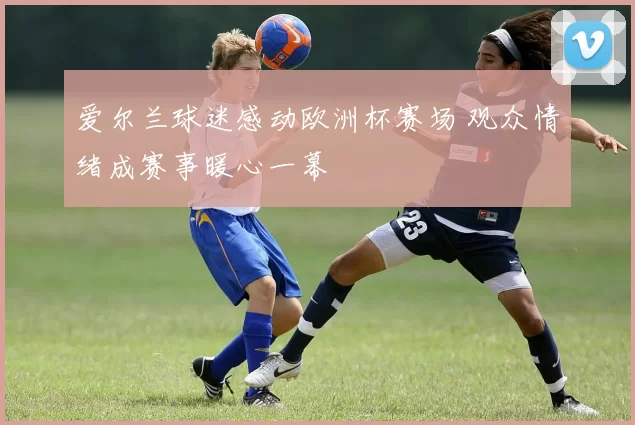 爱尔兰球迷感动欧洲杯赛场 观众情绪成赛事暖心一幕