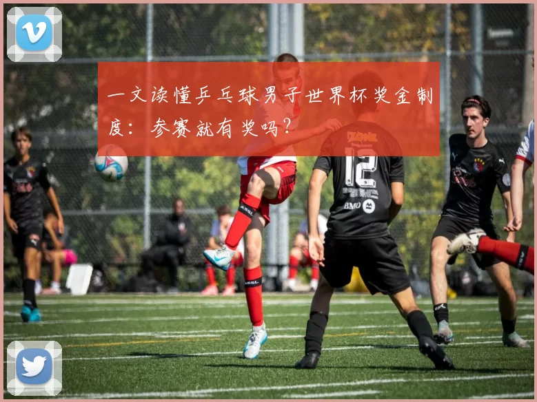 一文读懂乒乓球男子世界杯奖金制度：参赛就有奖吗？