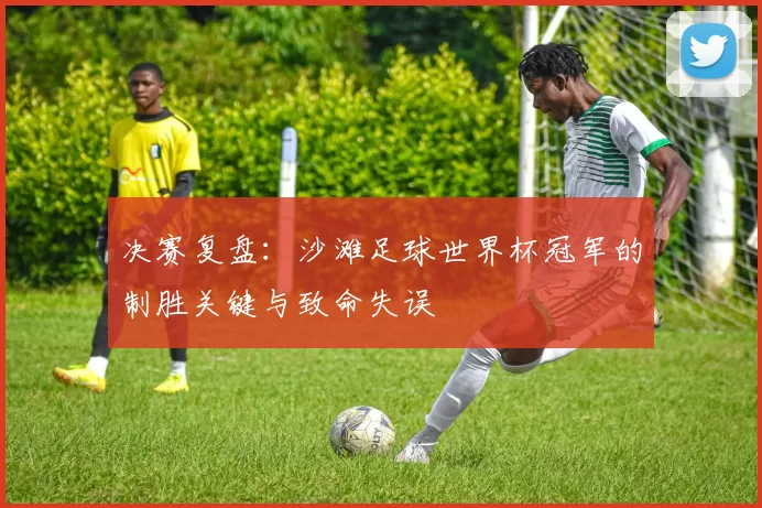 决赛复盘:沙滩足球世界杯冠军的制胜关键与致命失误