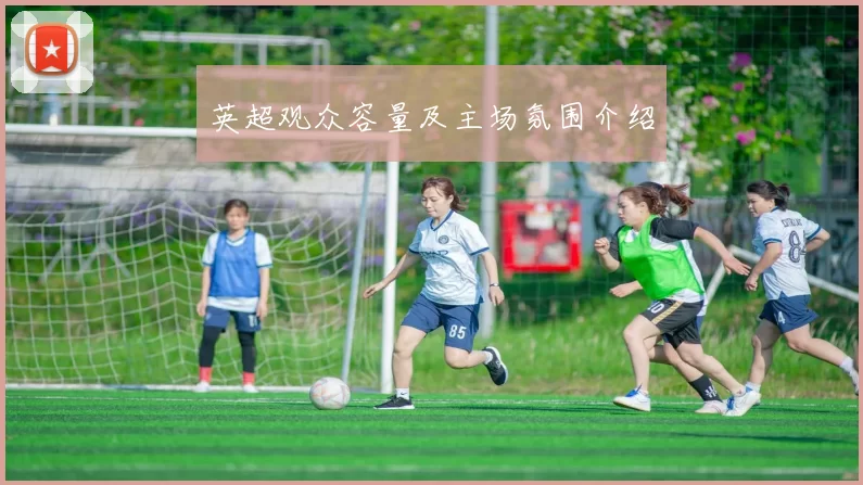 英超观众容量及主场氛围介绍