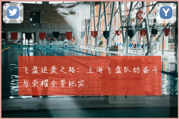 飞盘逆袭之路：上海飞盘队的奋斗与荣耀全景纪实